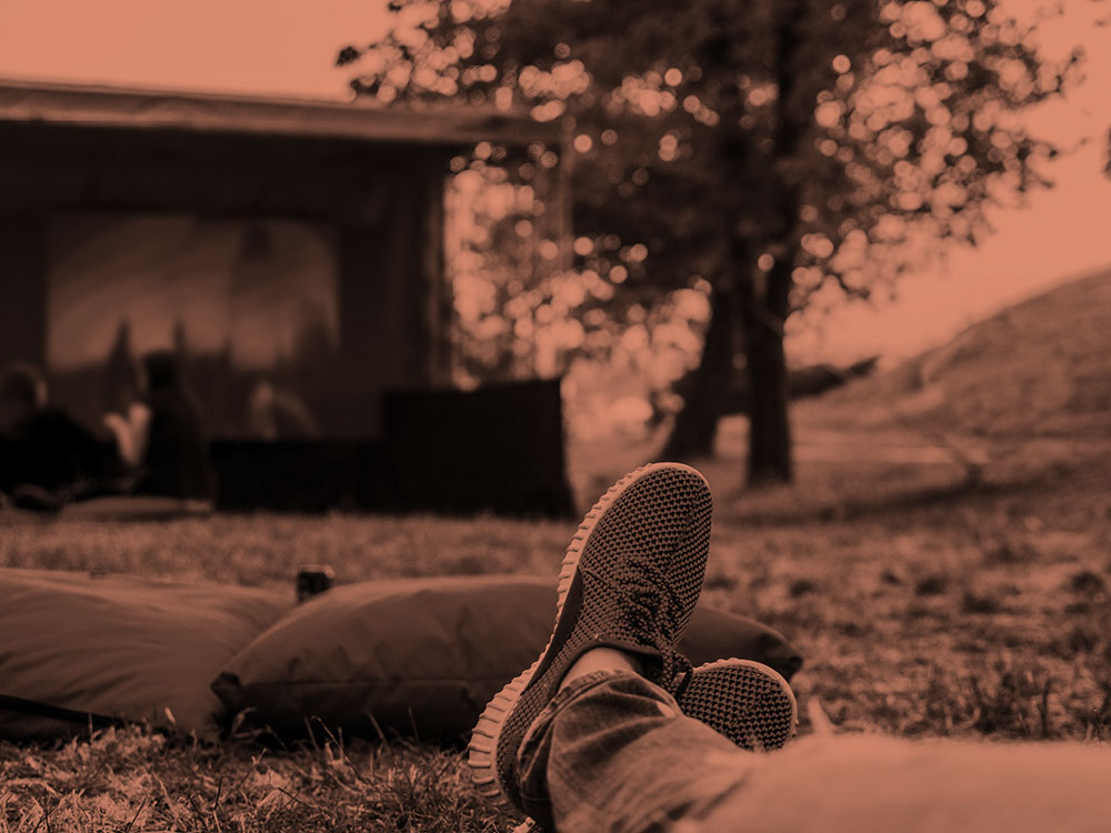 Bulldog Outdoor Movies Backyard